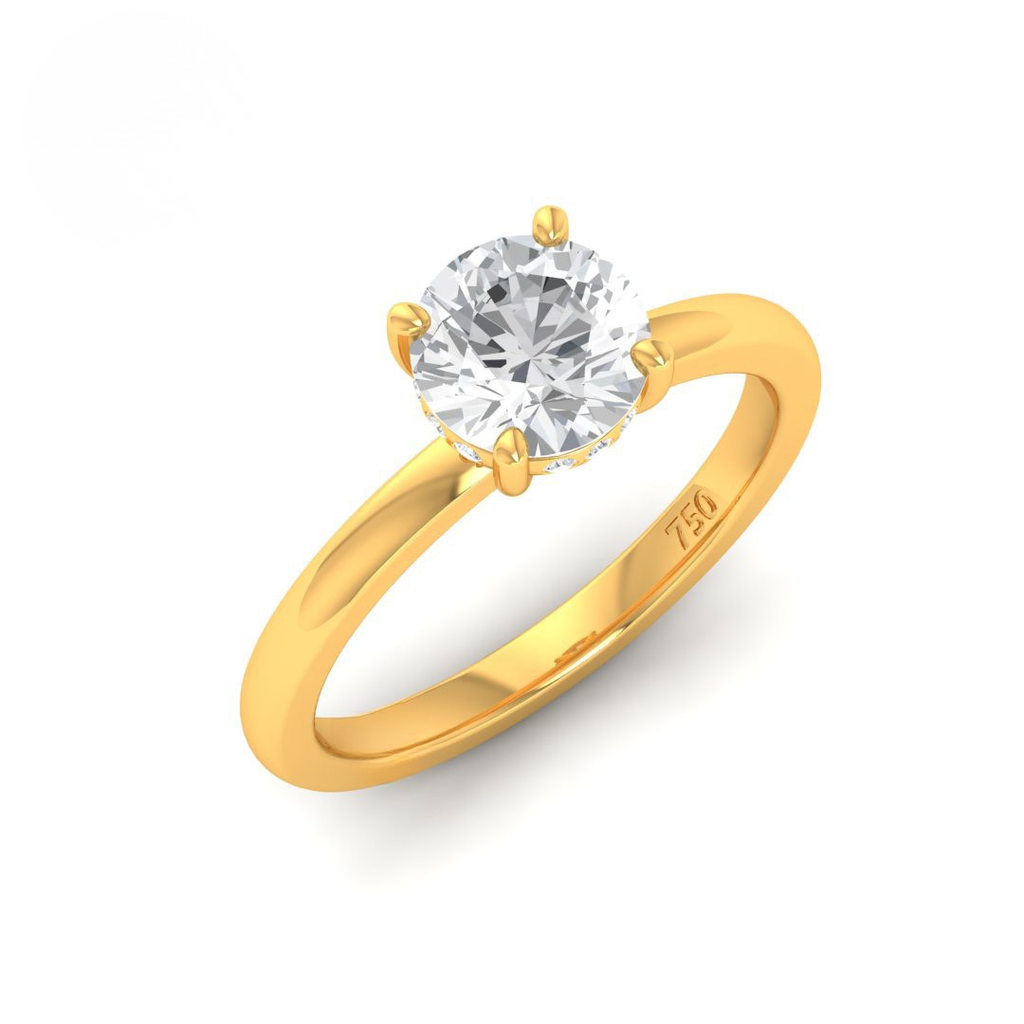 Round Diamond Hidden Halo Engagement Ring AAC00030