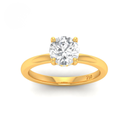 Round Diamond Hidden Halo Engagement Ring AAC00030