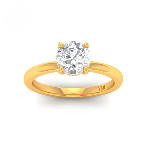 Round Diamond Hidden Halo Engagement Ring AAC00030