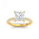 Princess Cut Diamond Engagement Ring With Diamond Hidden Halo And 3D Diamond Band AAC00131 
